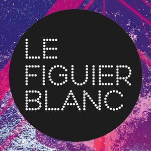 Centre culturel le figuier blanc