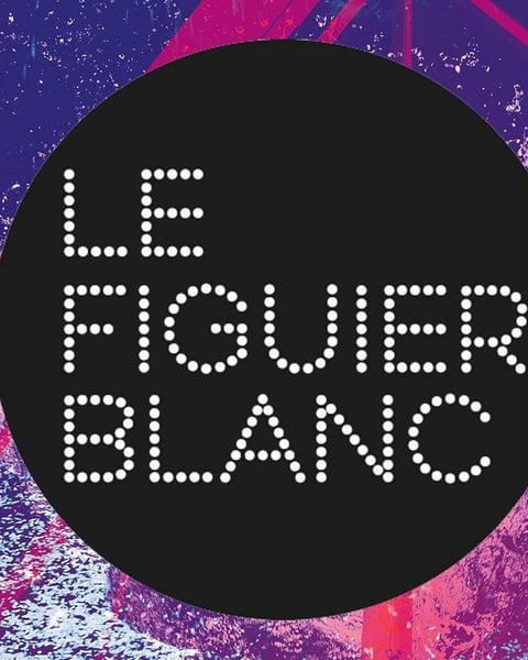 Centre culturel le figuier blanc