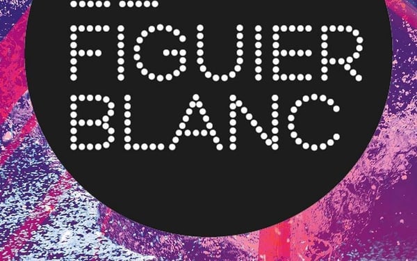 Centre culturel le figuier blanc