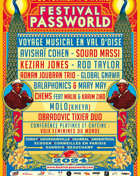 Festival Passworld