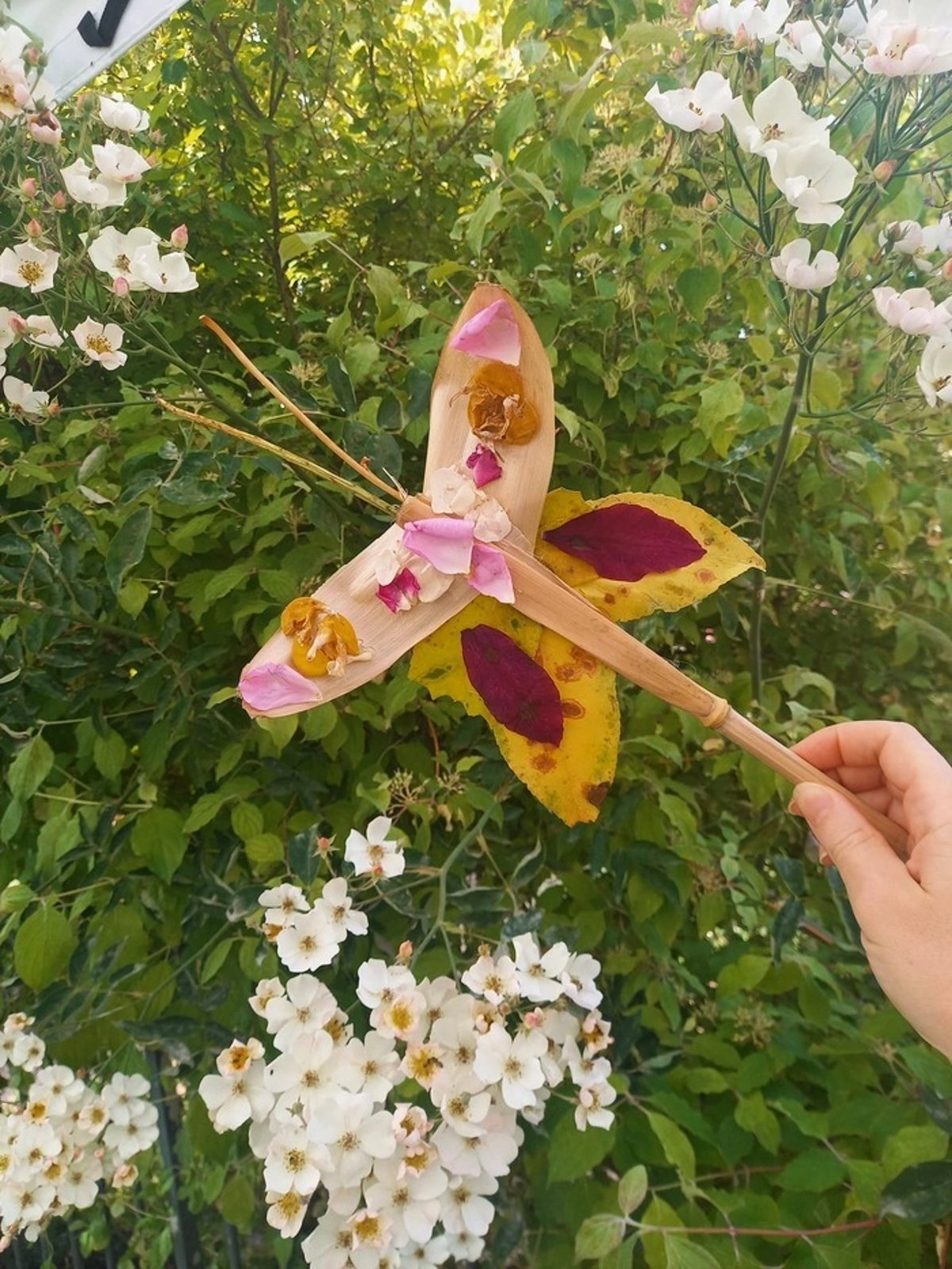 Animation Insectes à la loupe à Wy-dit-Joli-Village le 23 mai 2026