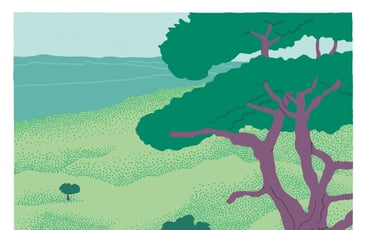 Sous les arbres, Danses et rêveries pour quatre violoncelles