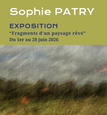 Exposition individuelle de Sophie Patry "Fragments d'un paysage rêvé"
