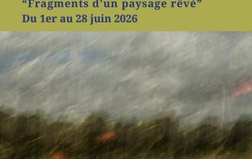 Exposition individuelle de Sophie Patry "Fragments d'un paysage rêvé"