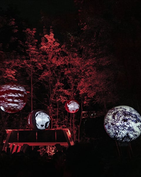 Illuminations - Carte blanche aux artistes de Capsule Collectif