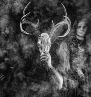 Wolves in the Throne Room