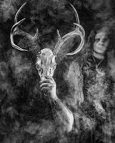 Wolves in the Throne Room