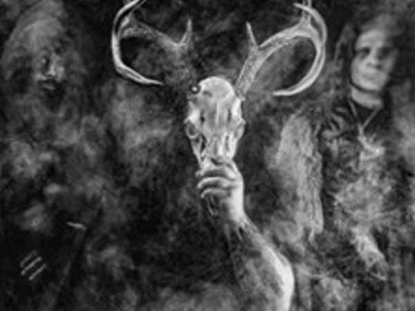 Wolves in the Throne Room