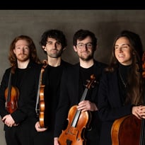 Les Cordes du Quatuor Våren