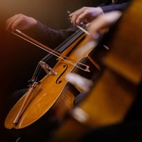 Violoncello Quartet