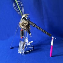 Bestioles (ou apprendre à regarder les objets autrement)