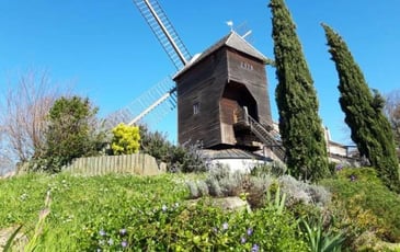Visite guidée du moulin sur pivot du XVIIIème siècle