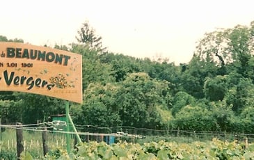 Visite de la cave de l'Hôtel du Croissant
