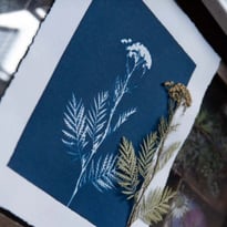 Atelier Cyanotype