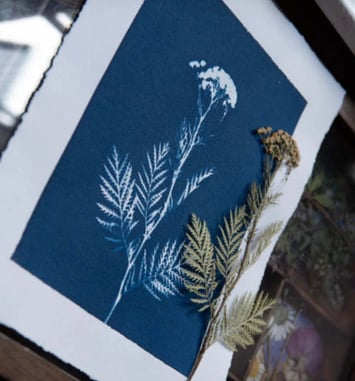 Atelier Cyanotype