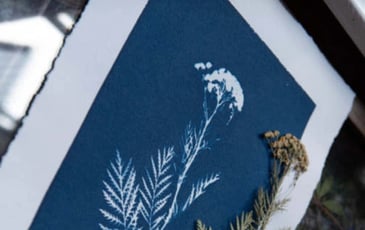 Atelier Cyanotype