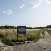 Visite guidée : Sur les pas de Van Gogh