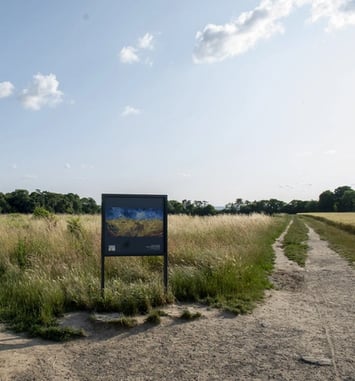 Visite guidée : Sur les pas de Van Gogh