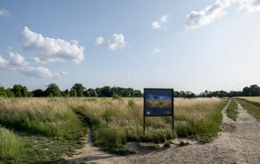 Visite guidée : Sur les pas de Van Gogh