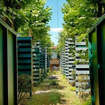 Visite du logis et du jardin d'arc (Beursault), patrimoine culturel immatériel