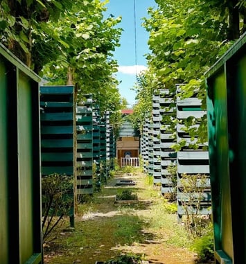 Visite du logis et du jardin d'arc (Beursault), patrimoine culturel immatériel