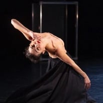 Revue