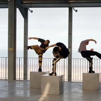 Fondations / Compagnie Barks