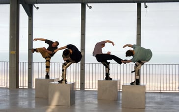 Fondations / Compagnie Barks