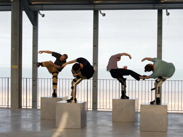 Fondations / Compagnie Barks