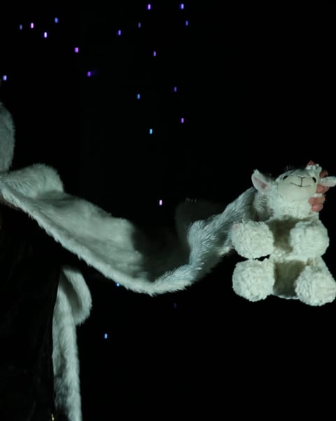 Loups de Noël