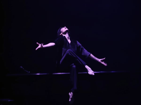 Barbara de Marie-Claude Pietragalla et Julien Derouault