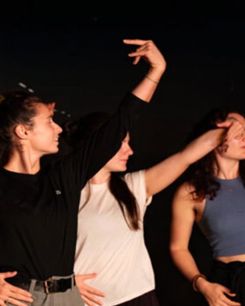Des Danses et des luttes