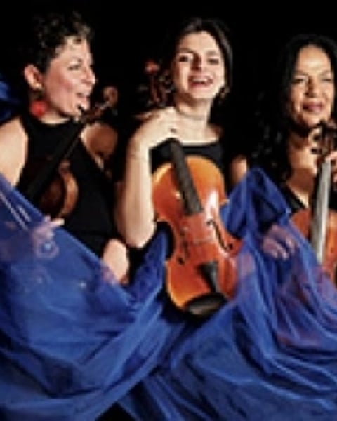 Papillon par le Well Quartet