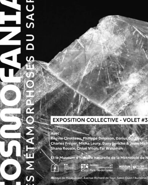 Exposition collective « Cosmofania, les métamorphoses du sacré »