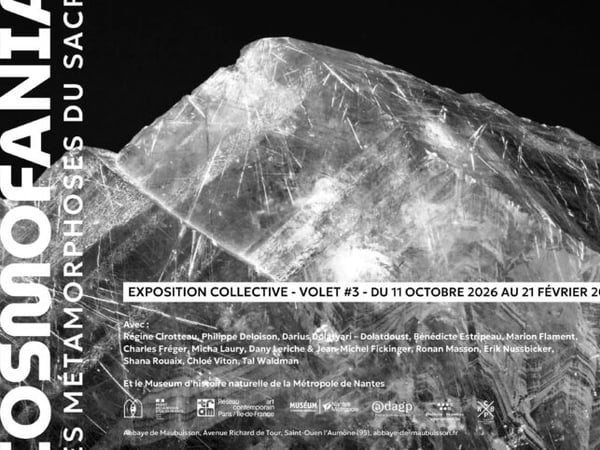 Exposition collective « Cosmofania, les métamorphoses du sacré »