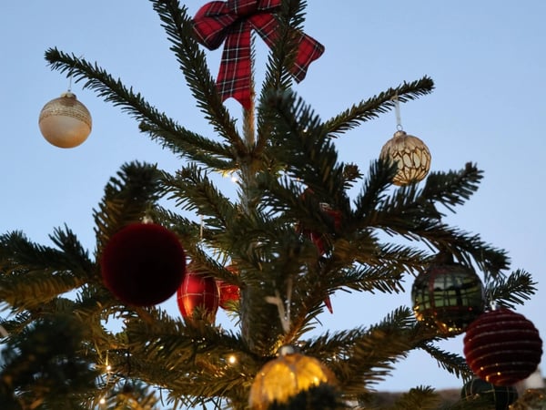 Les contes d'hiver