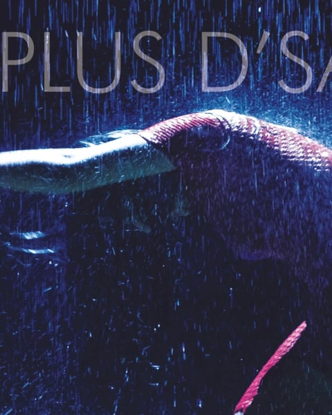 Y'a plus d'saisons