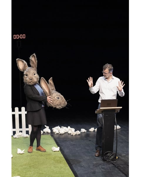 Le problème lapin, Cie Vertical Détour