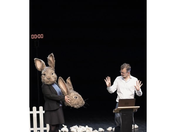 Le problème lapin, Cie Vertical Détour